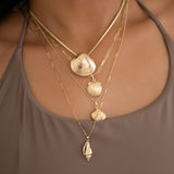 Golden Spiral Shell