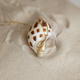 Golden Spiral Shell