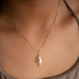 Golden Spiral Shell