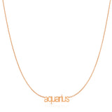 Petite Zodiac Necklace