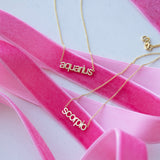 Petite Zodiac Necklace