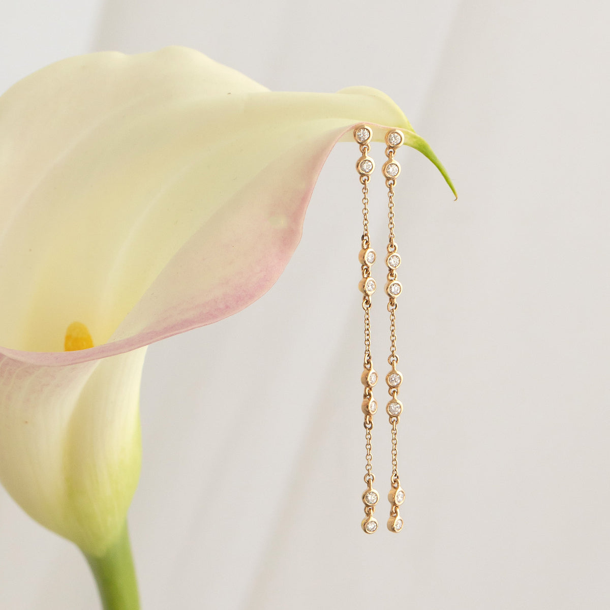 A pair of Stardust Earrings in yellow gold on a lily flower against a white background. 