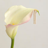 A pair of Down the Line Earrings in yellow gold on a white lily against a light grey background. 