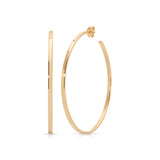 A Sleek & Chic Hoops - Medium in yellow gold on a white background. 