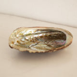 Iridescent Abalone Dish