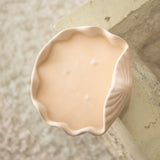 Large Clam Shell Soy Wax Candle