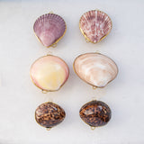 Seashell Trinket Boxes (3 pcs)