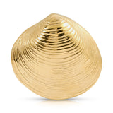 The Golden Venus Shell