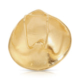 The Golden Venus Shell