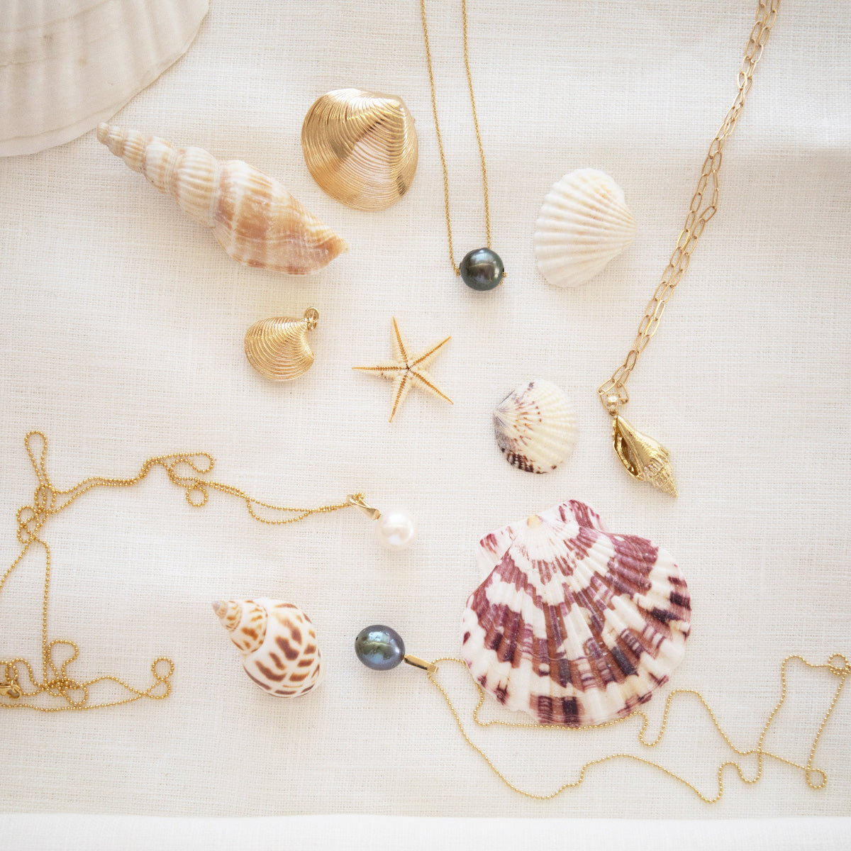 A Perla Necklace, Baroque Pearl Necklace, The Golden Venus Shell, Golden Coast Shell and a Golden Spiral Shell on an Element Short Link Chain laid with shells against a cream fabric background. 