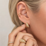 Etched Paris Earrings