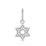 14K Diamond Star of David Pendant Charm