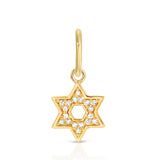 14K Diamond Star of David Pendant Charm
