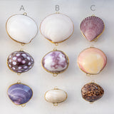 Seashell Trinket Boxes (3 pcs)