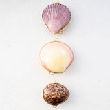 Seashell Trinket Boxes (3 pcs)