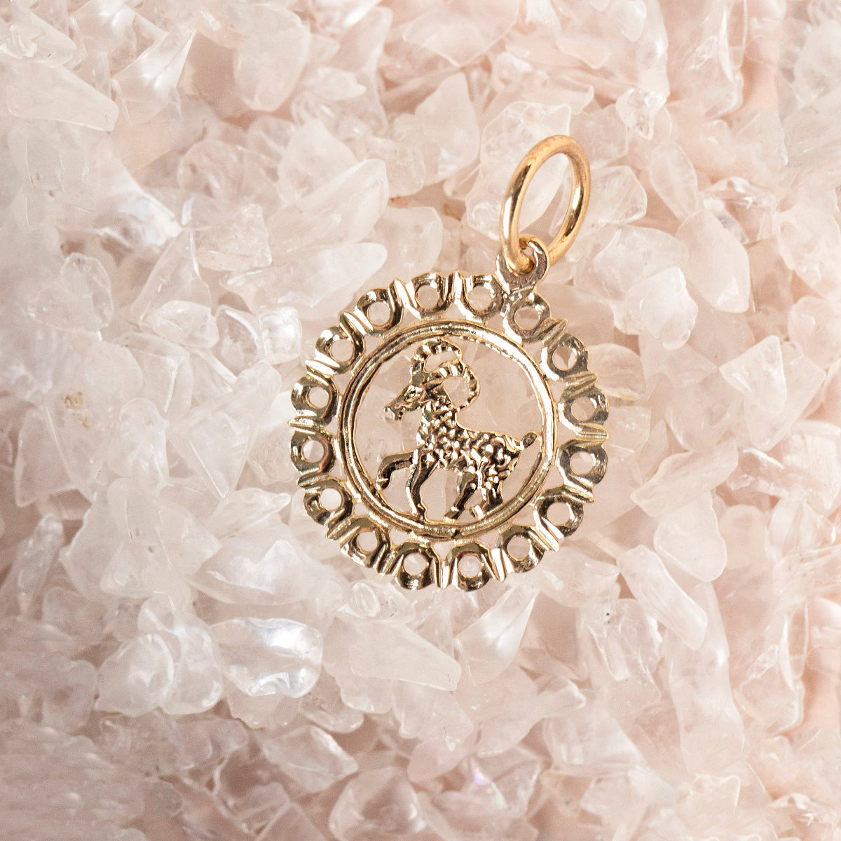 The Zodiac Necklace - Aries pendant laid on top of small clear crystal quartz. 