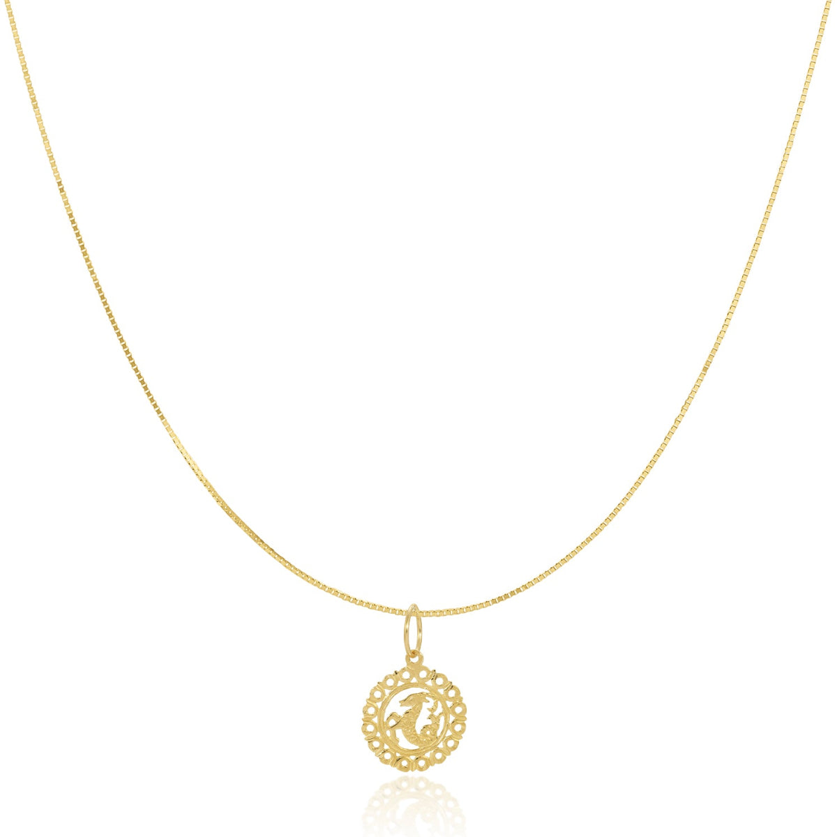 The Zodiac Necklace - Capricorn on a white background. 