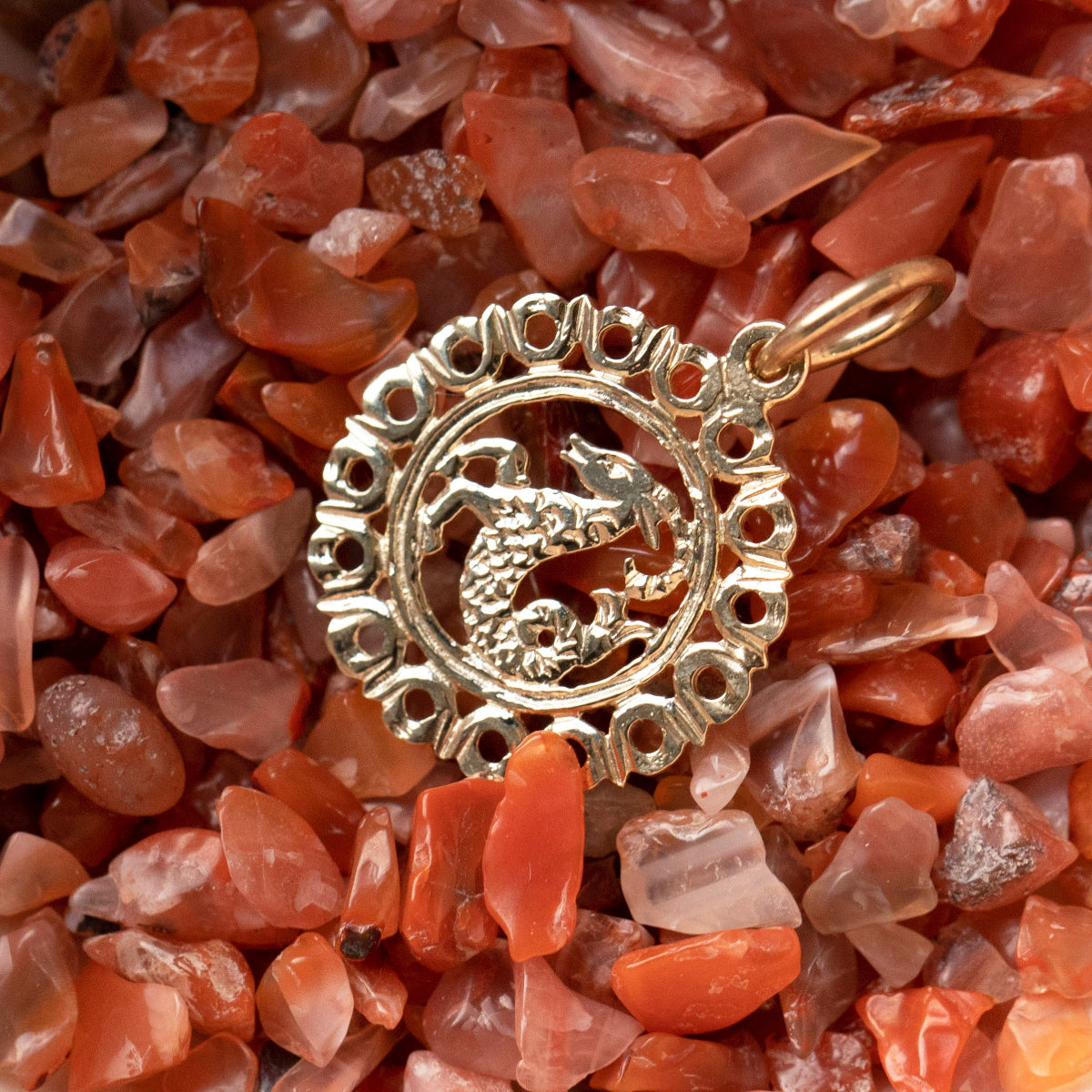 The Zodiac Necklace - Capricorn pendant laid on top of small red stones. 