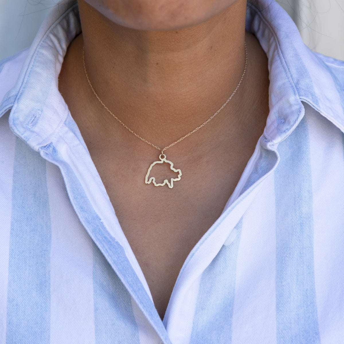 Close-up of a person's neck wearing a Switzerland necklace in yellow gold with a blue and white striped shirt against a light grey blurred background.